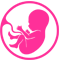 pregnancy growth scans